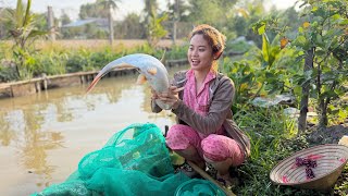 Cá Tra Kho Lạt Chấm Bông Súng - Bữa Cơm Cùng Gia Đình #bíchhươngmiềntây #côgáiquê #mónănđồngquê 