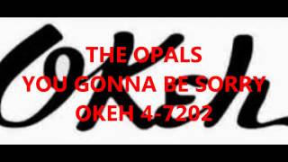 THE OPALS - YOU GONNA BE SORRY - OKEH 4 -7202