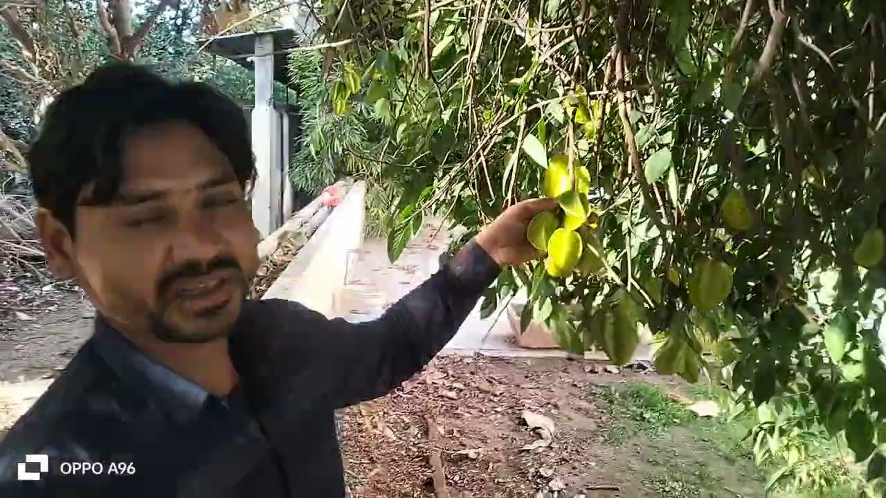 Doston is fal ka jarur Naam bataen comment mein aur bata kar please yaar like bhi kar dena