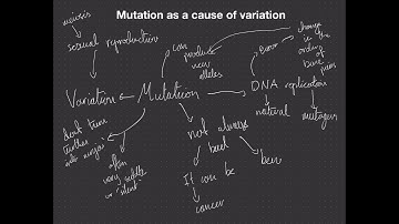 L1 NCEA Genetics - Mutation as cause of variation