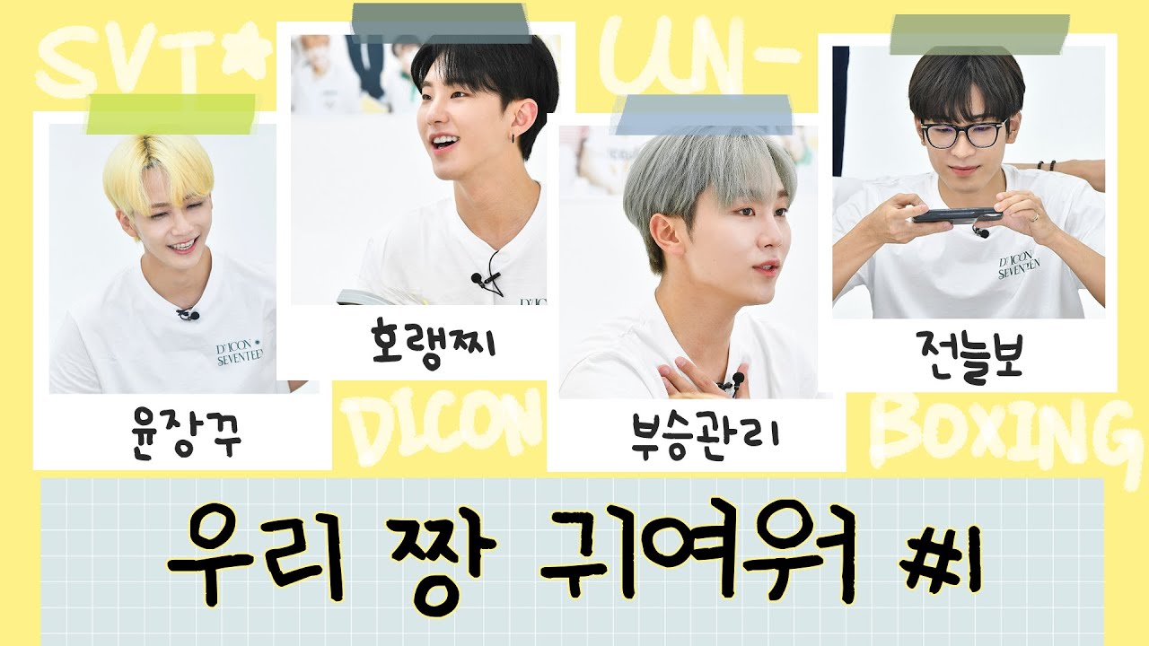 [세븐틴] 디아이콘 언박싱 라이브 하이라이트 편집본1 (승관, 정한, 원우, 호시)