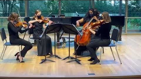 David Stone Miniature String Quartet No. 1