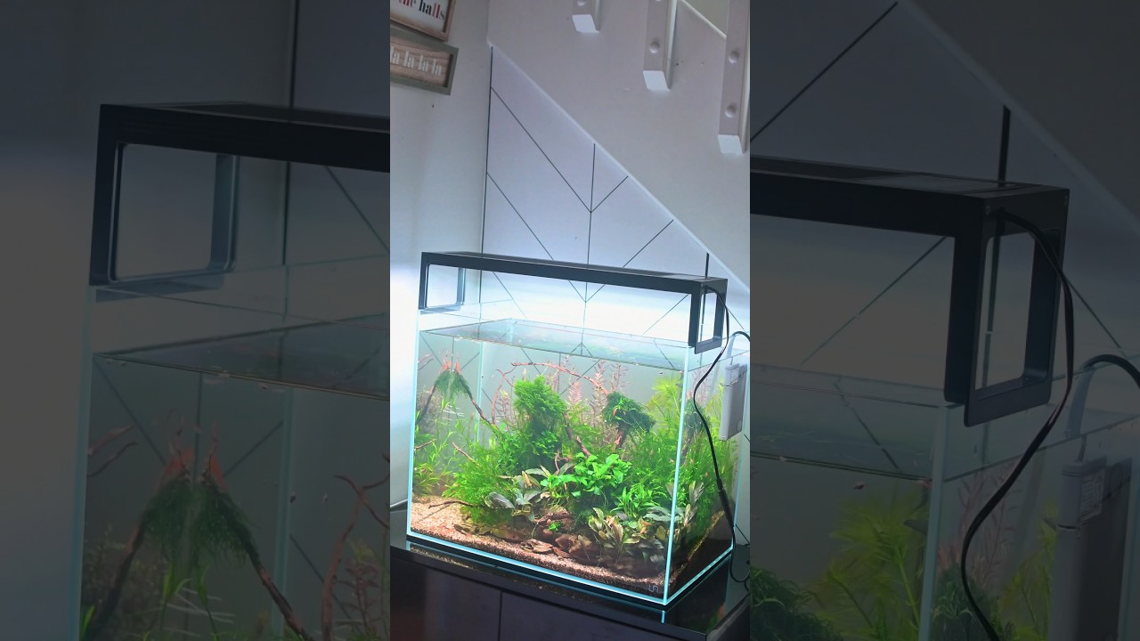 Seaoura Aquarium Light SR-628