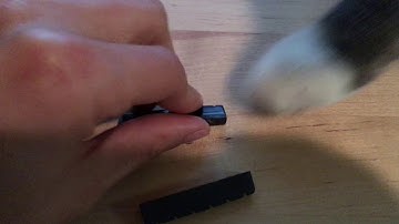 Nut Drop Test: TUSQ XL PT-6060-00 vs Epiphone Les Paul Special I