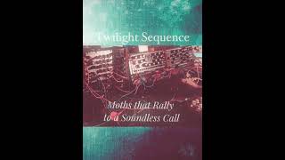 Moths that Rally to a Soundless Call (live in the studio) — Twilight Sequence