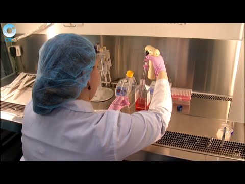 Как собственные клетки пациента помогают победить бронхиальную астму?