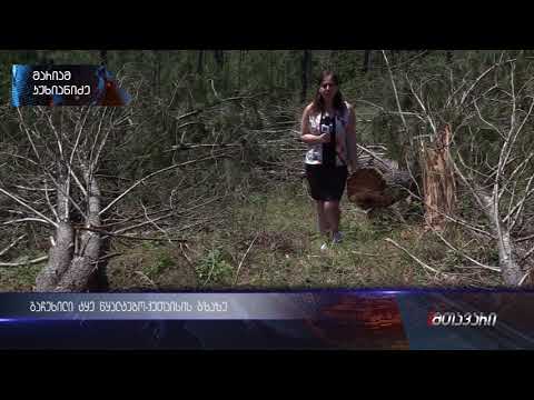 გაჩეხილი ტყე წყალტუბო-ქუთაისის გზაზე (ანონსი) 06.06.2018