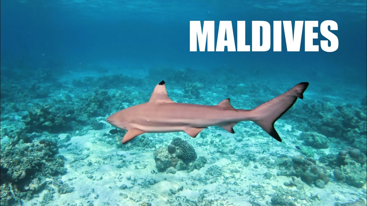 Maldives - Siyam World - Part 2