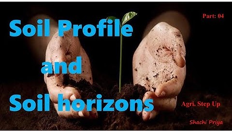 Soil Profile and Soil Horizons #Soil science  #science