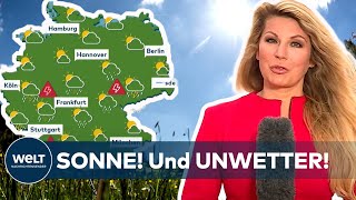 WETTER IN DEUTSCHLAND: Der Sommer ist da! Sonnenschein und Gewitterschauer wechseln sich ab screenshot 3