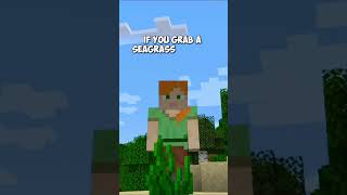 5 FACTS about TURTLE in Minecraft