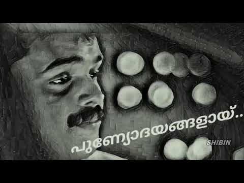 WhatsApp status Malayalam love song! Romantic song!