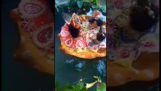 # Thakur ji ko noka vihar #jay shri# radhe krishna ju# mere banke bihari #❤📿🌹🌹🙏#radhe radhe🌹🙏🙏🙏