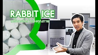 RABBIT ICE เครื่องทำน้ำแข็งอัจฉริยะ | Saycook On Tour EP.13