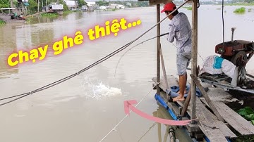 Tê Mình Trước Những Cảnh Cá Đớp Mồi Thần Tốc | Câu Cá Sông