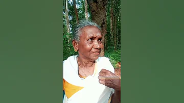 പ ങ ങ ട സ മത വളവ ൽ സ ഭവ ക ക ന നത Sumathi Valavu Shorts 
