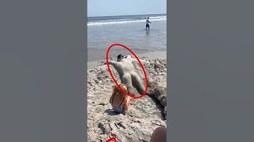 When parents become kids 😅