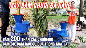 Máy Băm Chuối Đa Năng Bình Quân -  Băm 200 Thân Cây Chuối Mỗi Giờ, Băm Cỏ, Băm Rau Trong Giây Lát