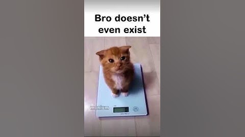 bro doesnt even exist