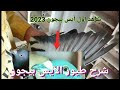 معلومات عن افضل طيور في شرح طيور الآيس بيجون كوكبالزاجل عبدهالباز 