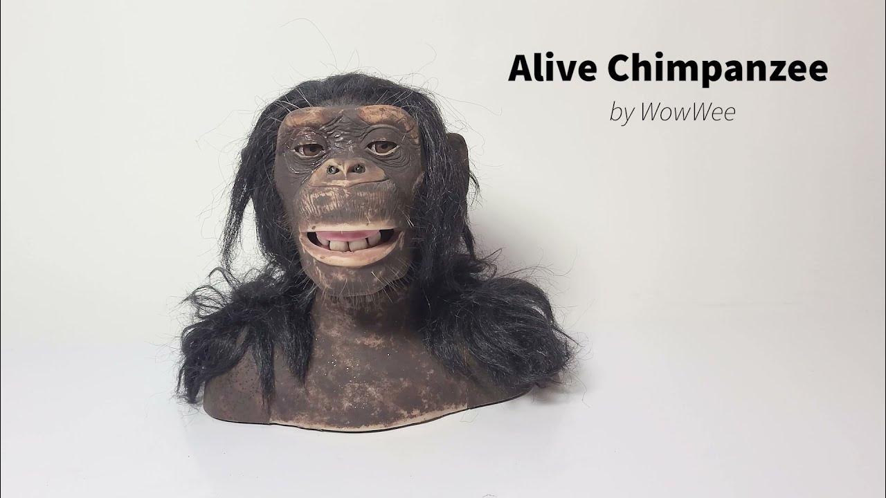 Animatronic Chimp Robot, Alive Chimpanzee by WowWee YouTube