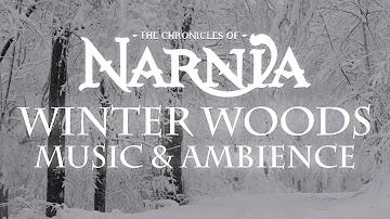 Chronicles of Narnia | Winter Woods Music & Ambience - Relaxing Music with Sounds of Winter