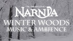 Chronicles of Narnia | Winter Woods Music & Ambience - Relaxing Music with Sounds of Snow  - Durasi: 5:00:01. 