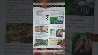 Class 5 CBSE science book chapter 1 Review
