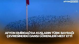 Afyon Emirdağda Kuşların Türk Bayrağı Çevresindeki Dansı Görenleri Mest Etti