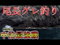 最強尾長グレ釣り場で超絶バトル!