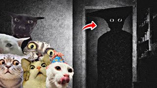 6 IDIOTS play the SCARIEST roblox horror game…