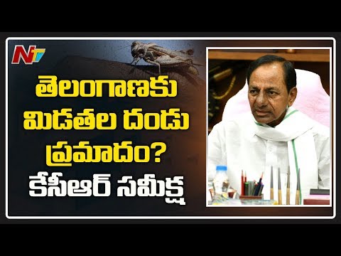 Telangana Govt On High Alert : CM KCR Meeting Over Locust Attack | NTV