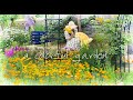 #86.이 예쁜 꽃을 왜 안심어요? 알고 나면 심을 수 밖에 없는 oo화💐l 금영화 키우기ㅣ 네모필라,독일붓꽃 개화ㅣ정원 울타리문 DIY l 해바라기 노지정식&삽목