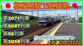 約1時間遅れのEF65牽引5087レや福通と西濃も含み、貨物列車×4本撮影。