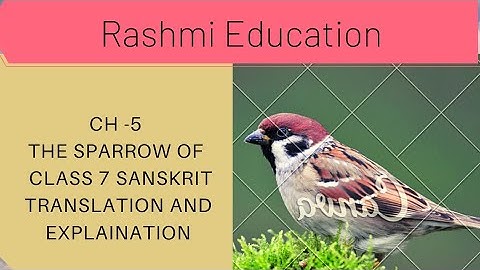 #sanskrit chapter 5 of class 7 of Sanskrit. (The Sparrow)