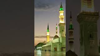 islamicpost #viral #video #hadi ali x1