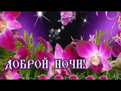 Пожелание спокойной ночи