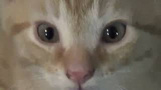 00112