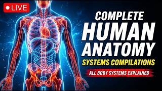 🔴Vital Codes Live: Complete Human Anatomy Explained Like Never Before!