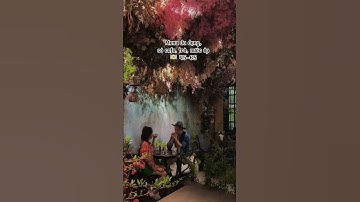 Khu vườn cổ tích giữa lòng thủ đô #lelacaphe