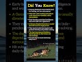 Lesser-Known Facts About German Shepherds.#shorts