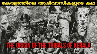 കേരളത്തിലെ ആദിവാസികളുടെ ചരിത്രം | tribals of  kerala- History | human evolution |malayalam