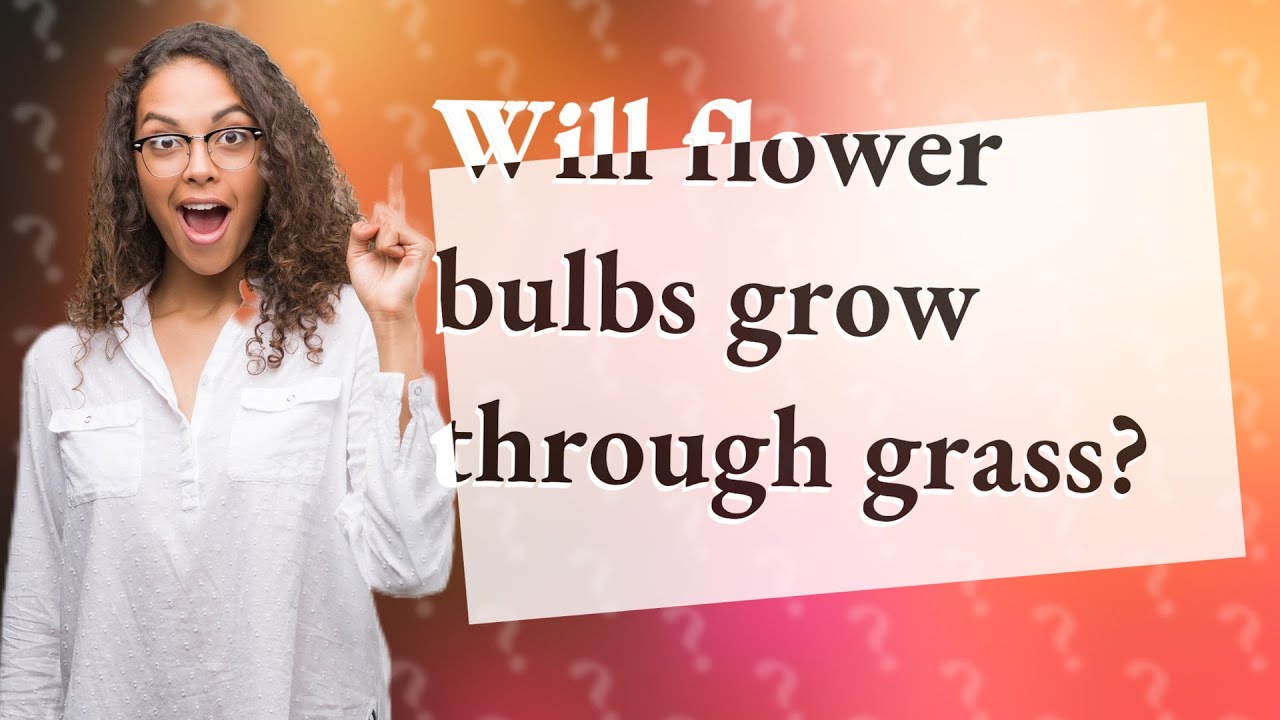 Will flower bulbs grow through grass? YouTube