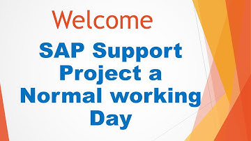 Video 15: SAP Support Project - A Normal Working Day in Consultant