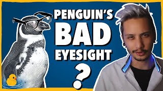 Are Penguins Short-sighted? - QUACK #8