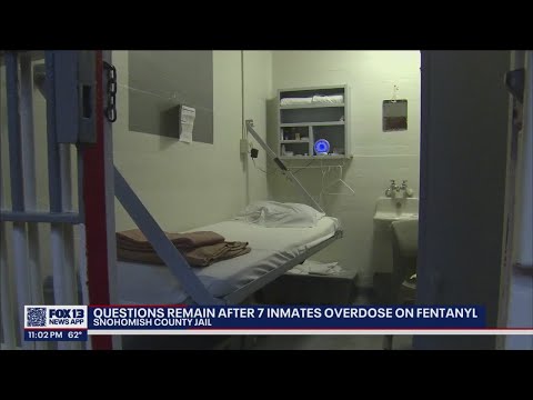 Snohomish County Jail Bookings
