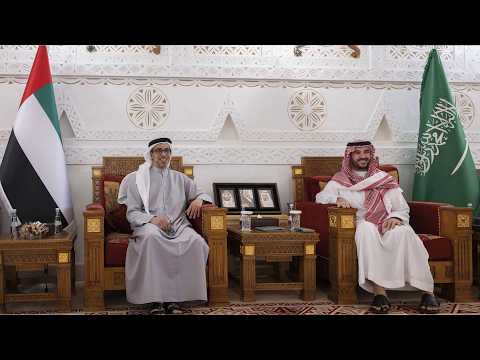 منصور بن زايد وخالد بن سلمان يبحثان في الرياض العلاقات الأخوية