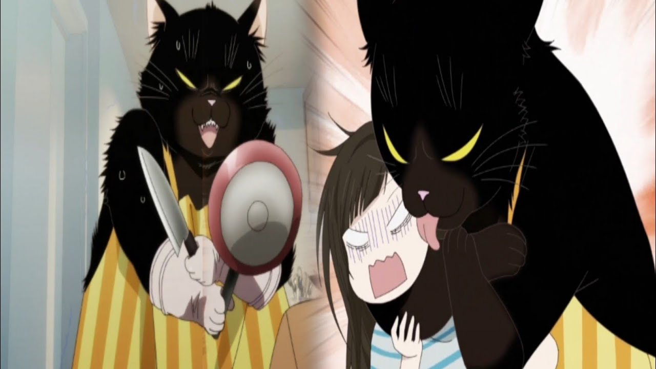 Yukichi got defensive | Dekiru Neko wa Kyou mo Yuuutsu,デキる猫は今日も憂鬱 Ep 5