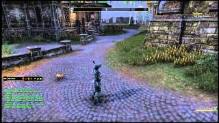 Elder Scrolls Online Streaming Test