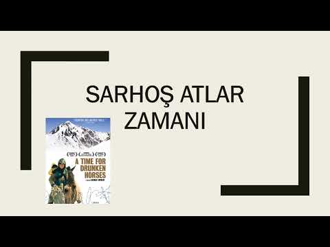 Sarhoş atlar zamanı, film sunumu